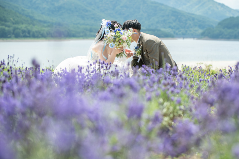 かなやま湖プラン