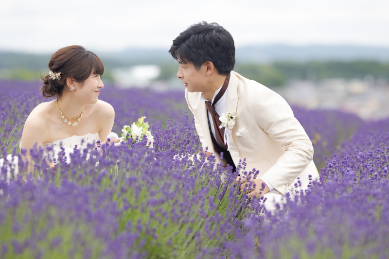 やさしい香のラベンダー