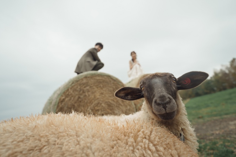 撮影チームの感想/カメラマン