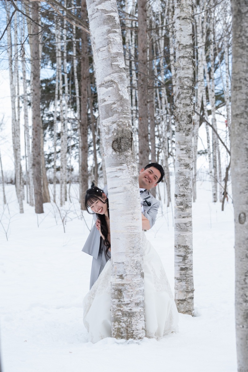 丘のうえを選んだ理由