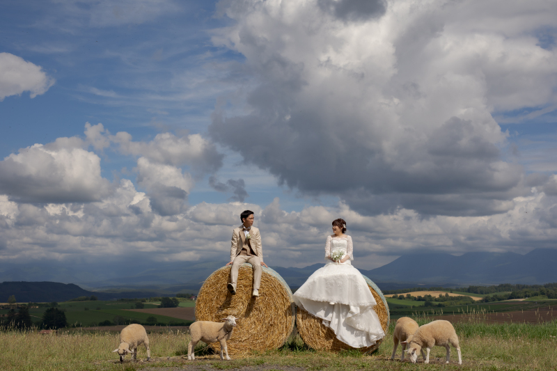 ファームズ千代田で羊とふれあう