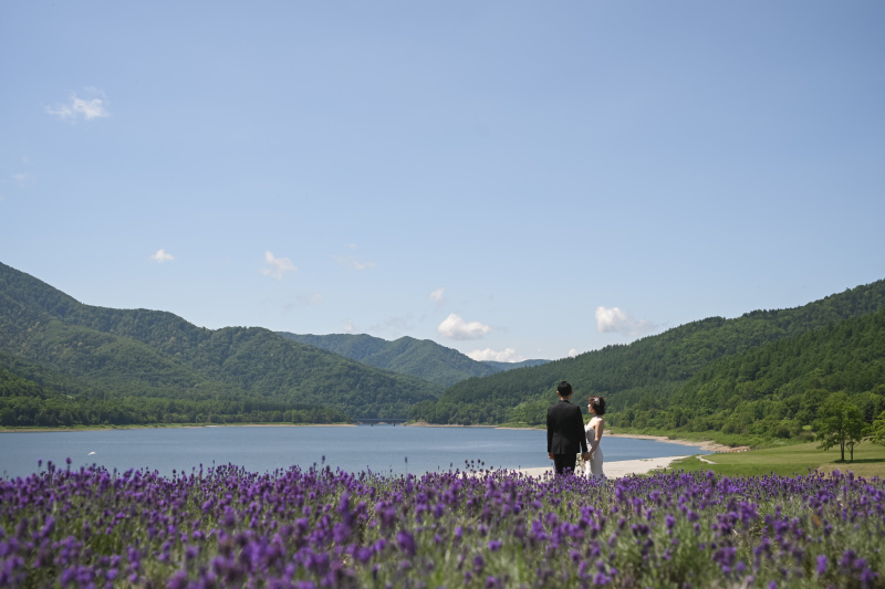 丘のうえを選んだ理由２