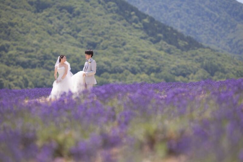 惹かれたポイント