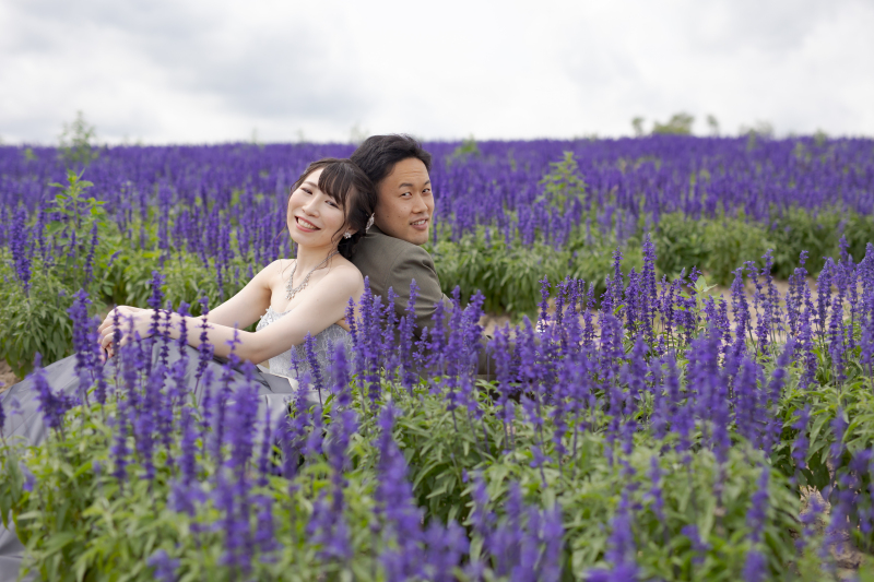 サルビアの花畑