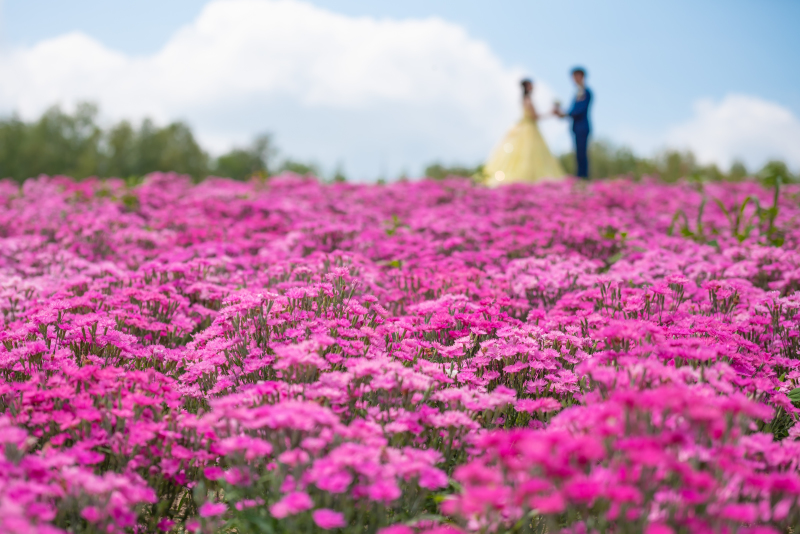 基本は3か所撮影