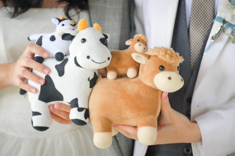 撮影チームの感想／当日