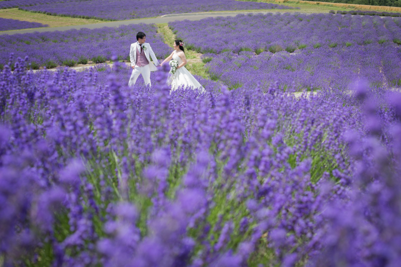 一言メッセージ１