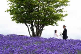 丘のうえ／ロケーションフォト