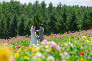 富良野2か所を満喫できるWedding Photo