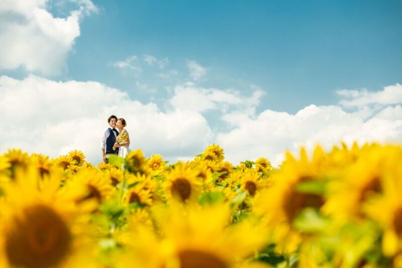 色彩豊かな夏ロケーションフォト／東京から【お客様の声】
