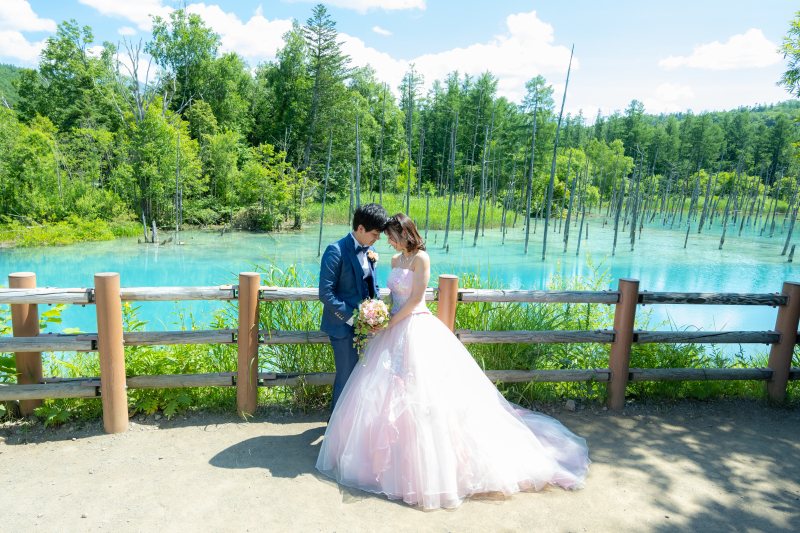 オールインワンプランでわかりやすく