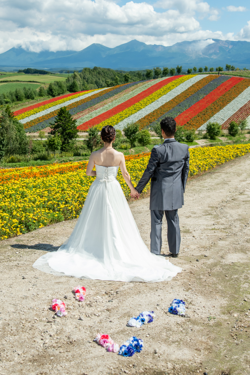 丘のうえを選んだ理由