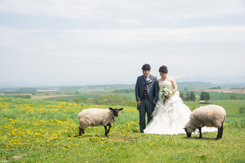 撮影スタートです