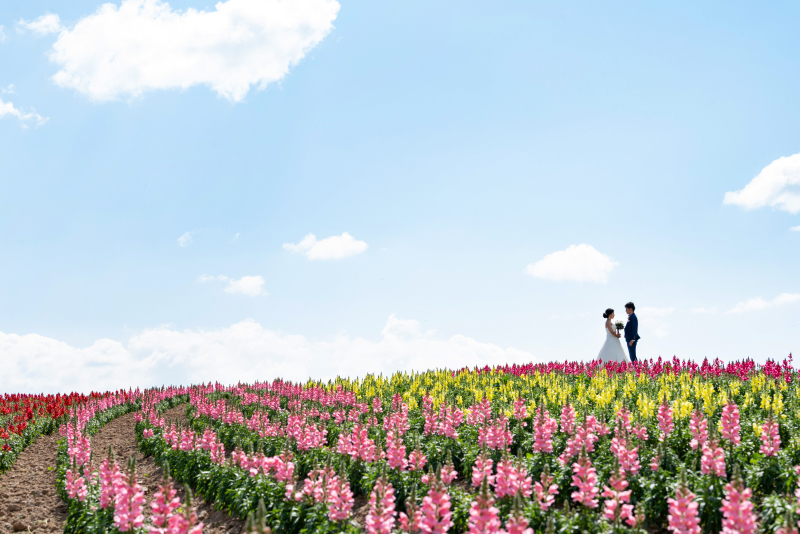 さりげないアドバイスが良かった