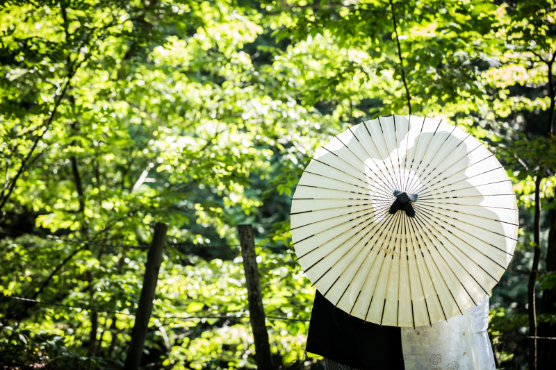 撮影スタートです