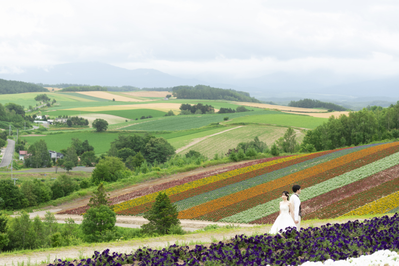 四季彩の丘　丘のうえを選んだ理由