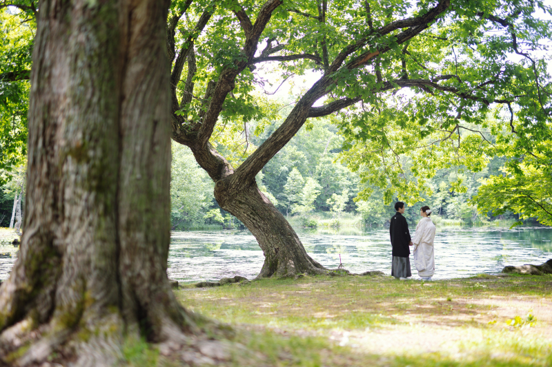 一言メッセージ