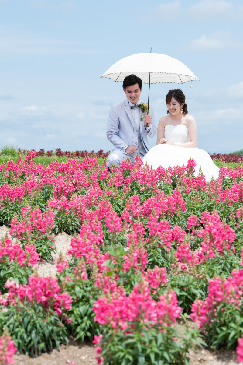 サルビアと一緒に