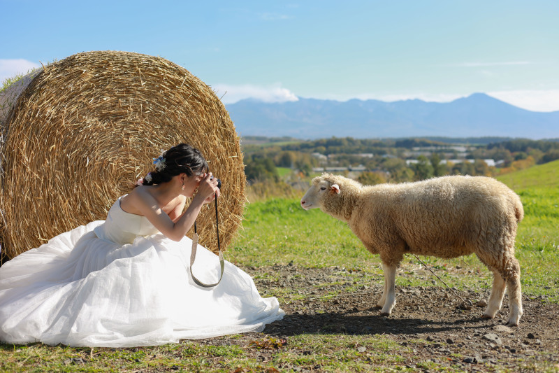 ファームズ千代田