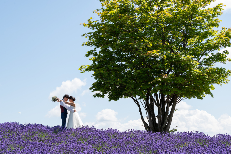 チーム感想をお聞かせください