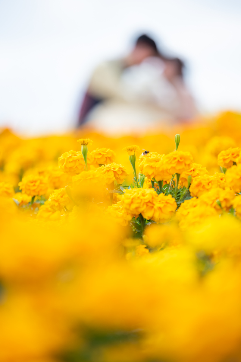 ご遠方からでも安心