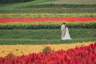 北海道らしさでのWedding Photo／【お客様の声】