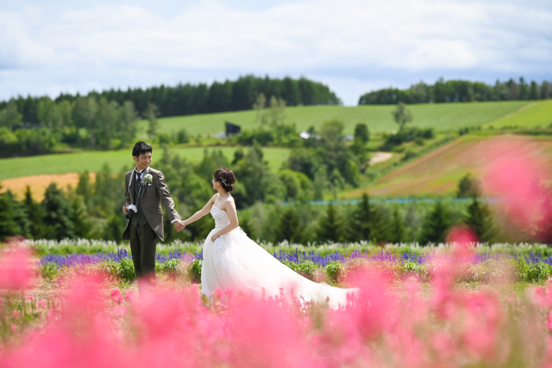広いお花畑お花とお花の間に