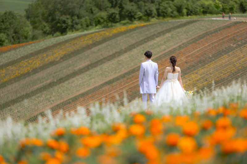 丘のうえを選んだ理由