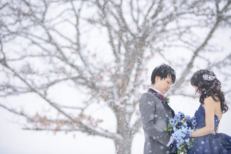 雪はシャッターチャンス