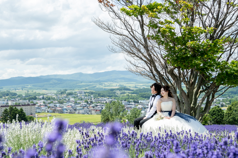 丘のうえを選んだ理由