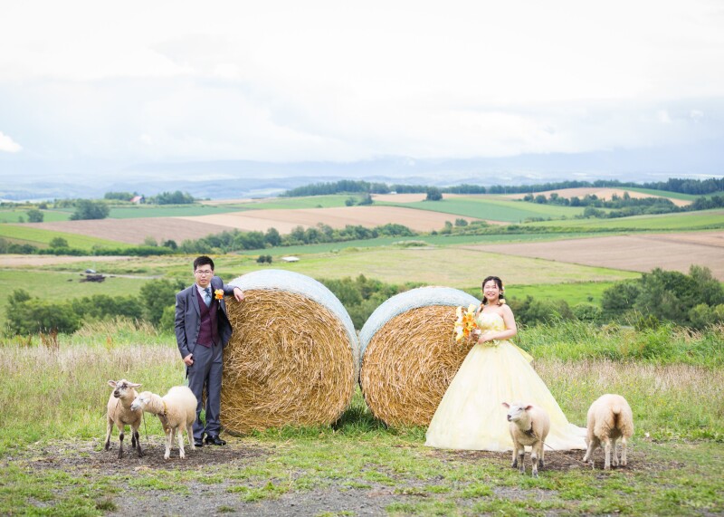 撮影スタートです