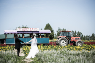 富良野を満喫Wedding　Photo／【お客様の声】
