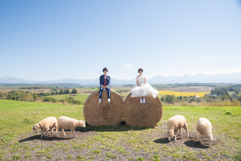 撮影スタートです