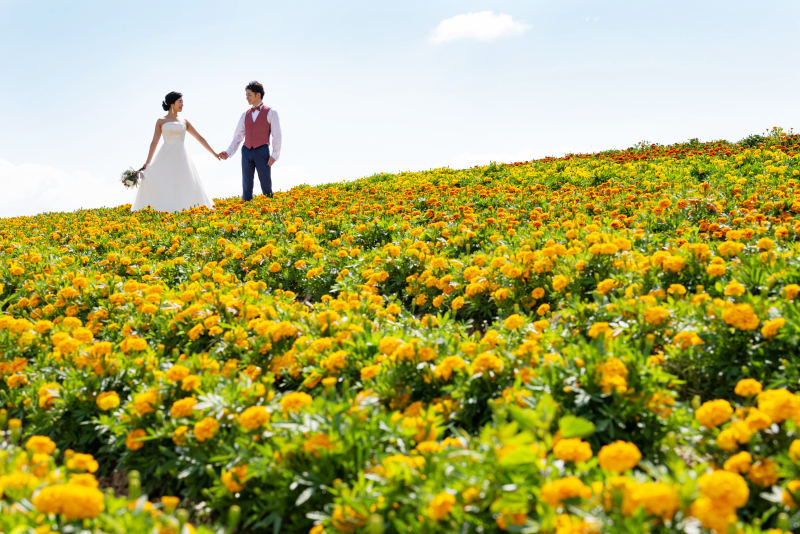 鳥沼公園がすごくよかったです