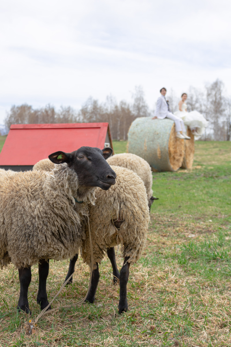 撮影お疲れ様でした