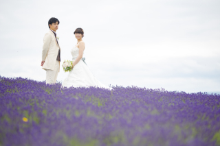日の出公園ラベンダーとエメラルドグリーン、そしてお花畑フラワーランド3か所
