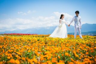 富良野の風景の中、ロケーションフォト【お客様の声】