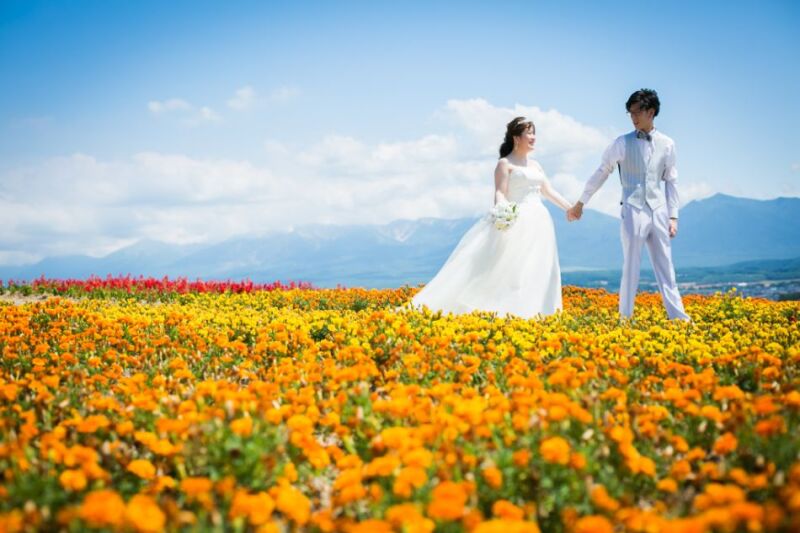 富良野の風景の中、ロケーションフォト【お客様の声】