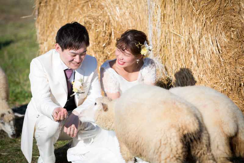 撮影チームの感想