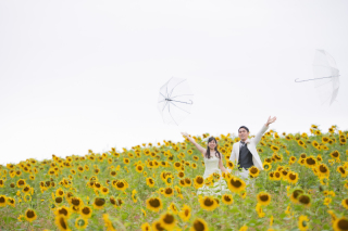 美瑛・富良野３か所雨のフォトウェディング
