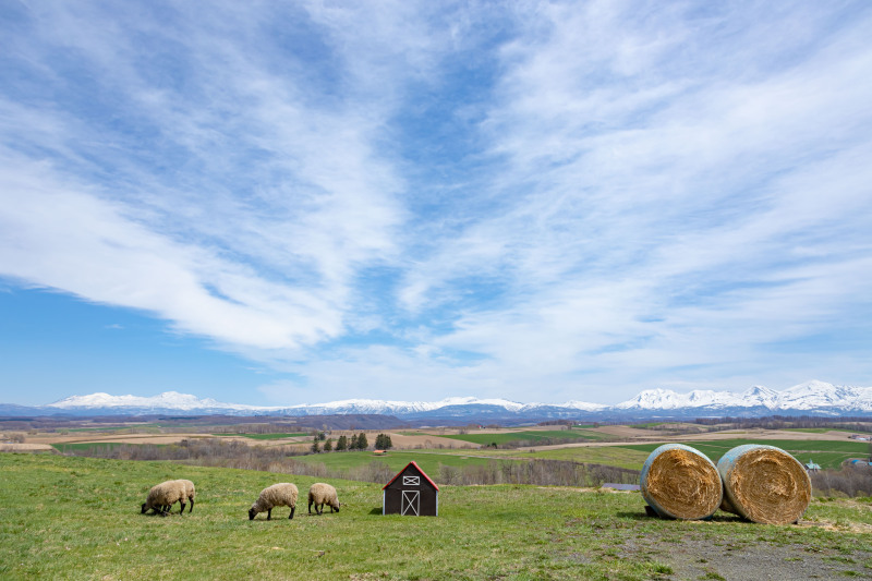 撮影チームの感想