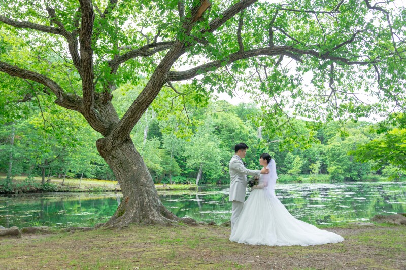 丘のうえを選んだ理由