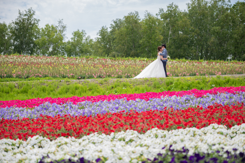 お花畑が虹のような線を描く