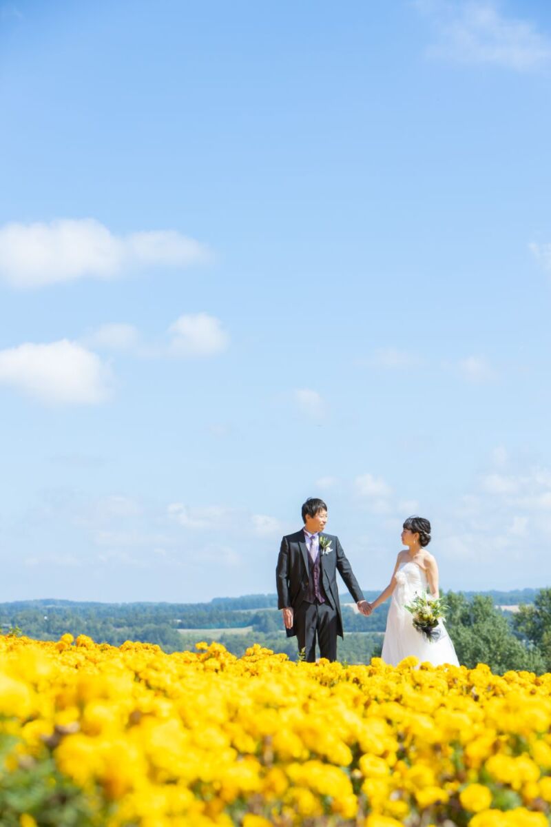 丘のうえを選んだ理由