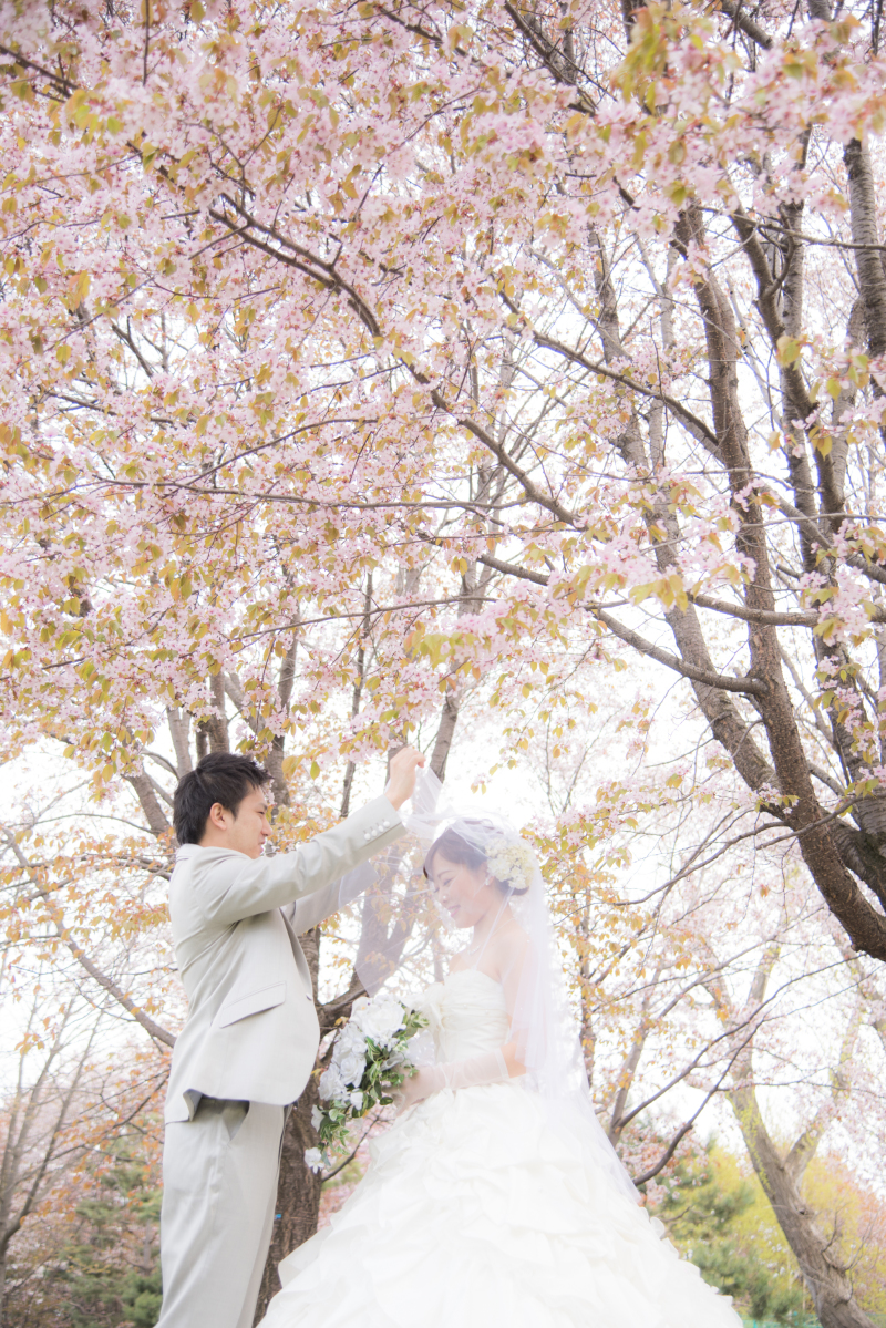 桜の下のフォトセレモニー