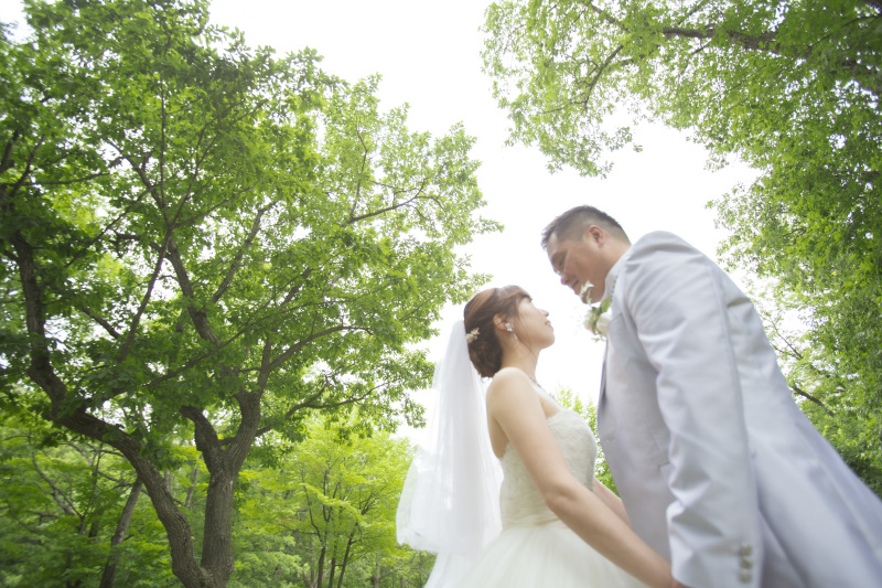 神聖なエメラルドグリーンの森の公園