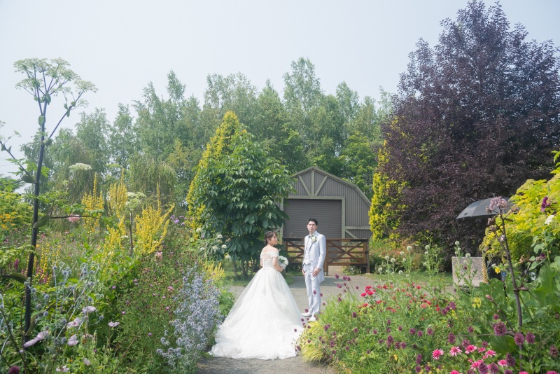 旭川・富良野2か所プラン