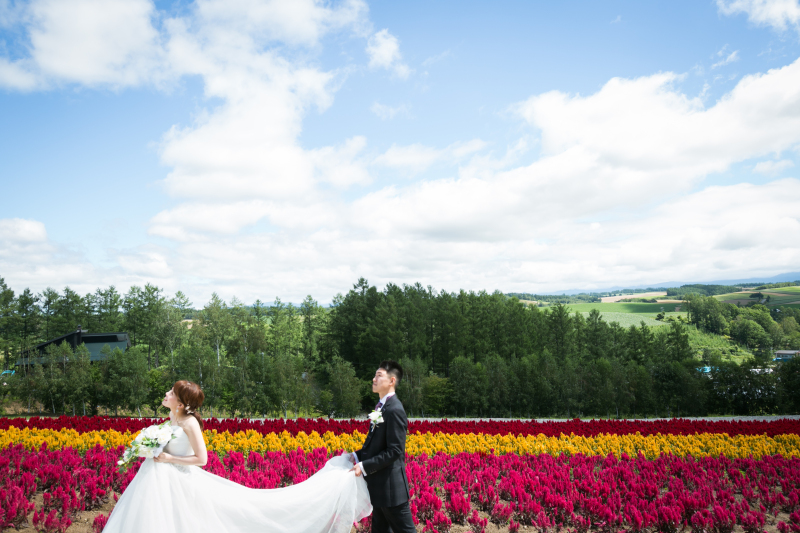 美瑛・富良野にて撮影