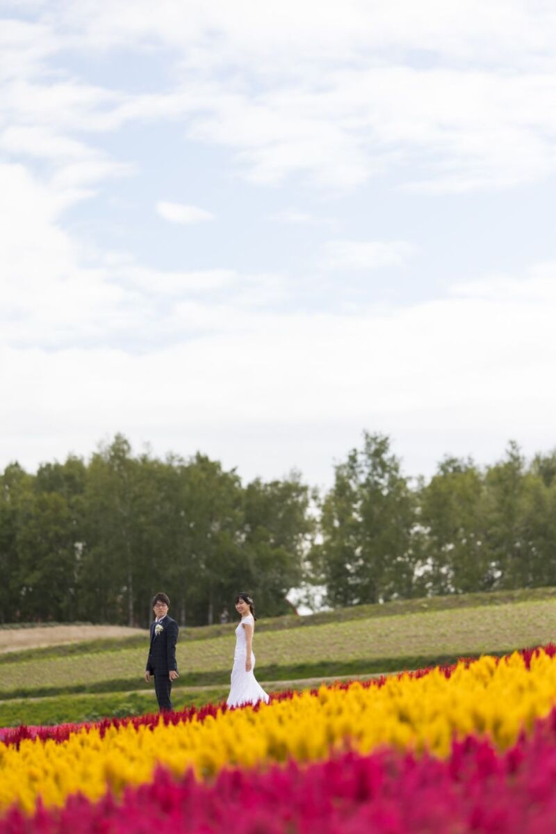 丘のうえを選んだ理由