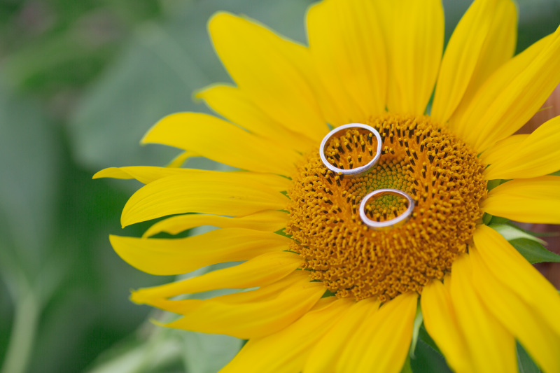 フォトウェディングをご検討の方へ